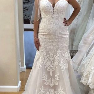 Stella York Wedding Dress